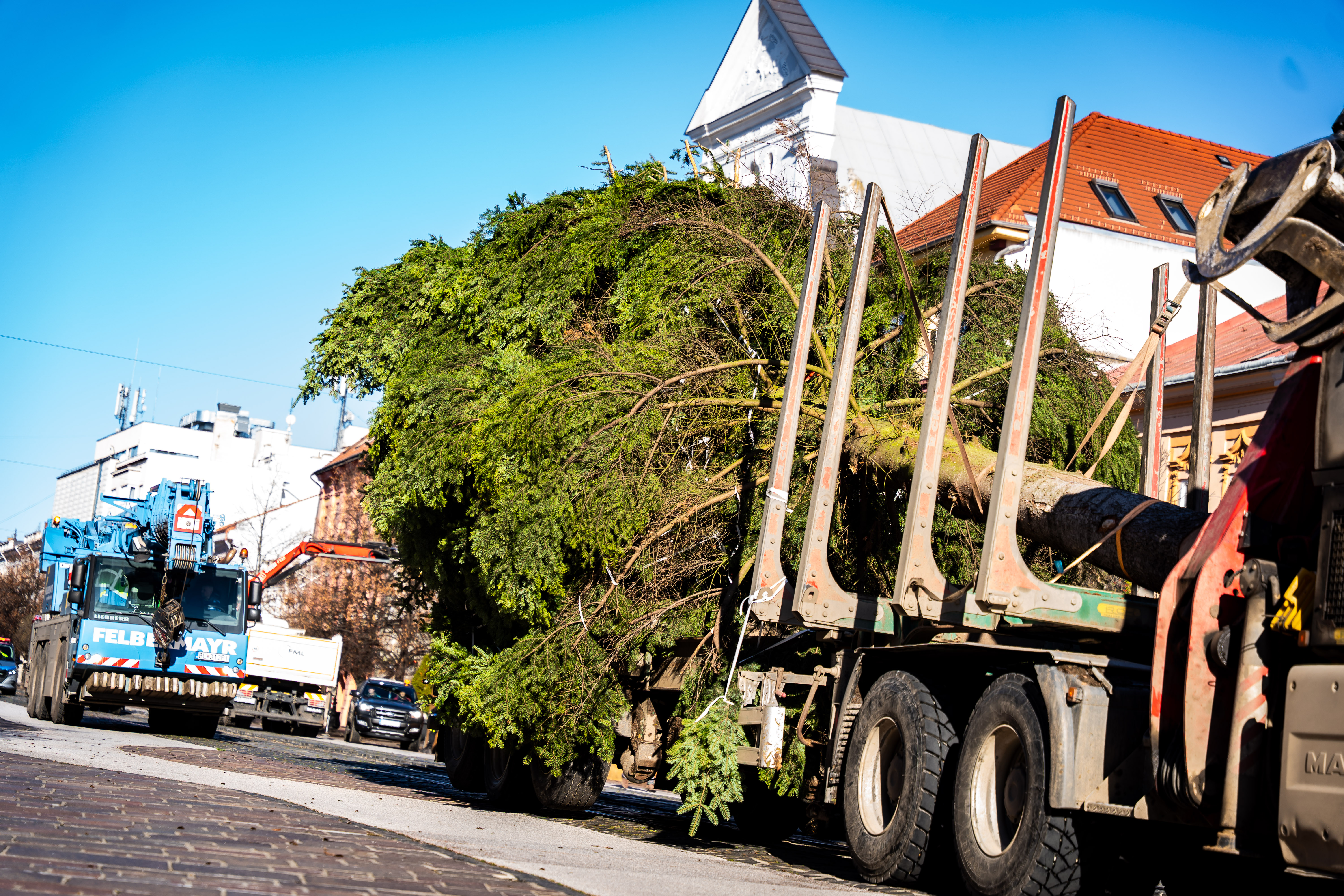 Umiestnovanie Vianocneho stromu-2